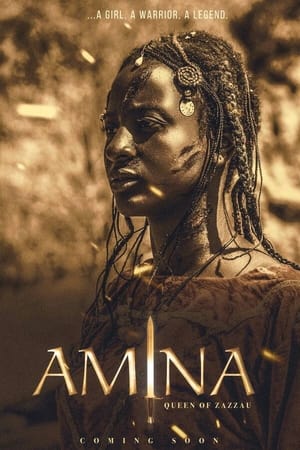 Amina poszter