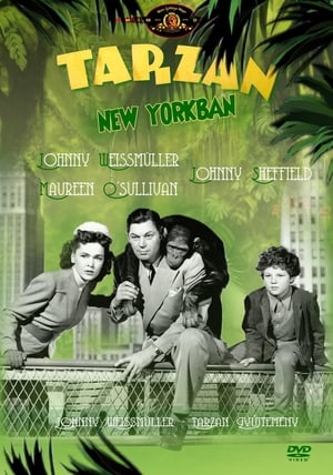 Tarzan New Yorkban