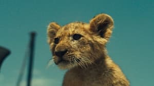 King – Egy kis oroszlán nagy kalandja háttérkép