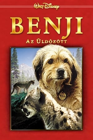Benji, az üldözött