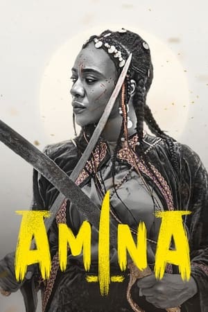 Amina poszter