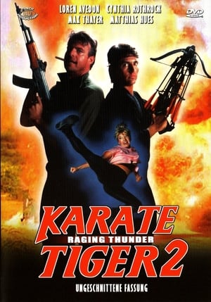 Karate tigris 2. - Villám kezek poszter