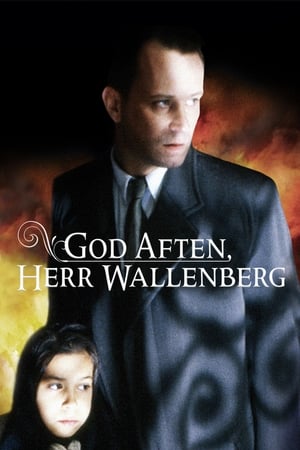 Jó estét, Wallenberg úr! poszter