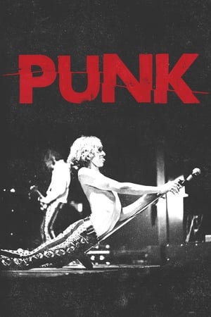 Punk poszter