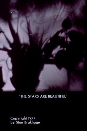 The Stars Are Beautiful