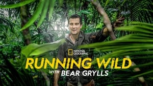 Bear Grylls: Sztárok a vadonban kép