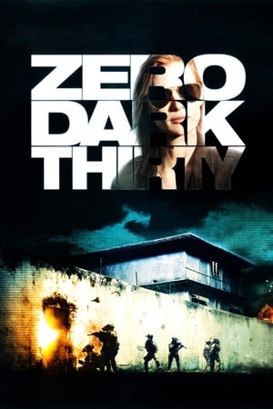 Zero Dark Thirty - A Bin Láden hajsza poszter