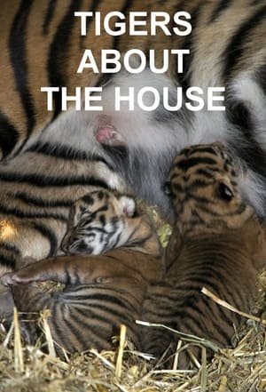 Tigers About the House poszter
