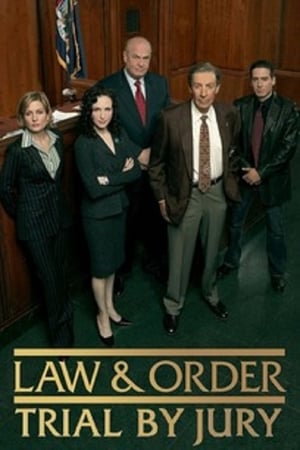 Law & Order: Trial by Jury poszter
