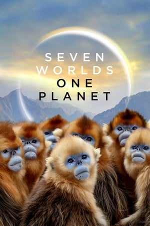 Egy bolygó hét világa