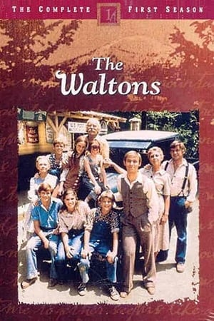The Waltons poszter