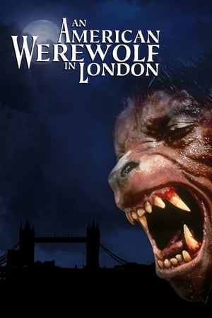 Egy amerikai farkasember Londonban poszter