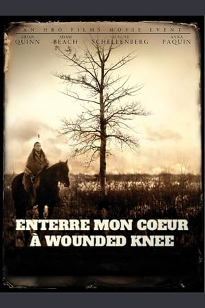 Wounded Knee-nél temessétek el a szívem poszter