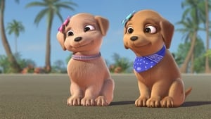 Barbie és húgai: Az elveszett kutyusok háttérkép