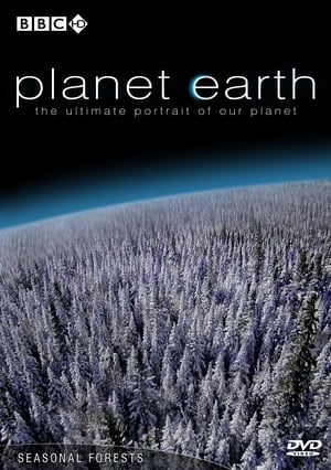 Bolygónk, a Föld poszter