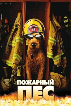 Tűzoltó kutya poszter