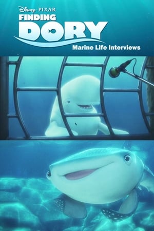 Marine Life Interviews poszter