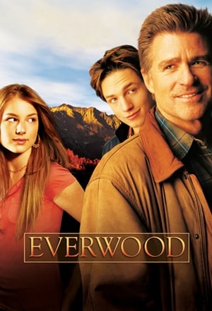 Everwood poszter