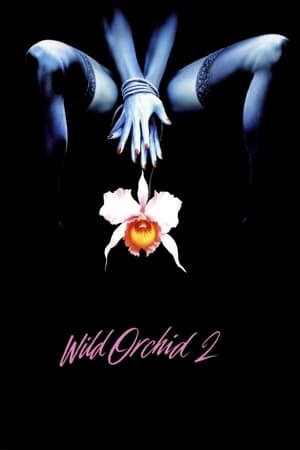 Vad orchideák II poszter