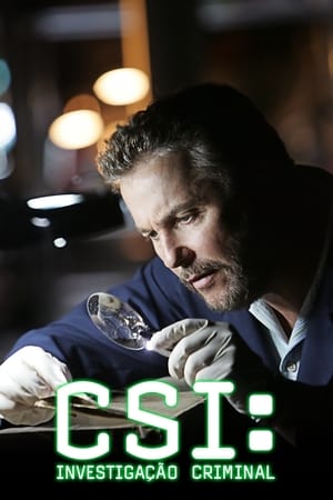 CSI, A helyszínelők poszter