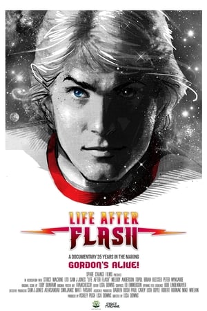 Life After Flash