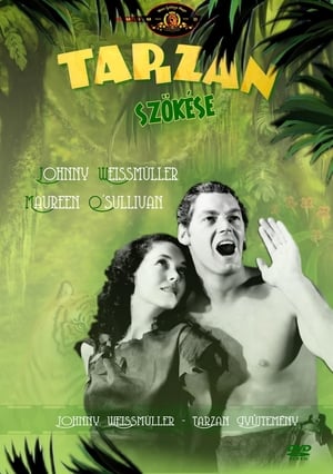 Tarzan veszélyben (Tarzan szökése)