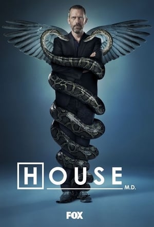 Dr. House poszter