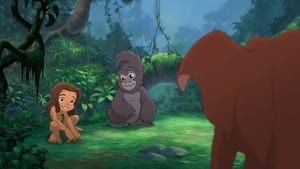 Tarzan 2 háttérkép