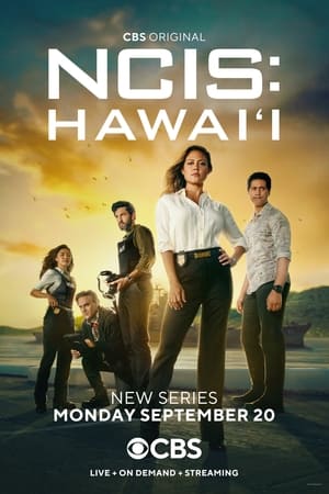 NCIS: Hawai'i poszter