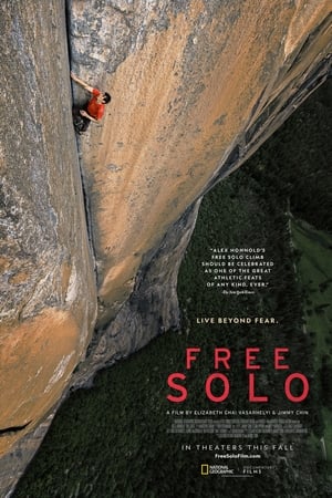 Free Solo - Mászókötél nélkül poszter