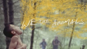We the Animals háttérkép