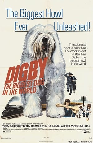 Digby, a világ legnagyobb kutyája