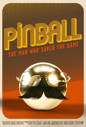 Pinball: The Man Who Saved the Game poszter