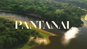 Pantanal kép