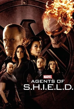 A S.H.I.E.L.D. ügynökei poszter