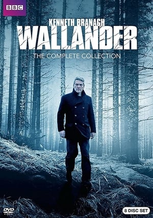 Wallander: The White Lioness