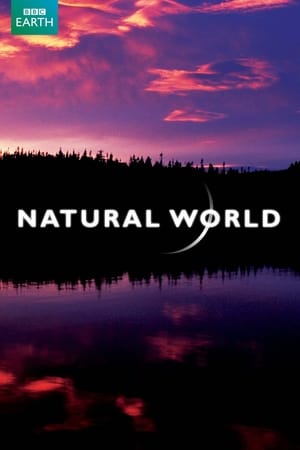 Natural World poszter