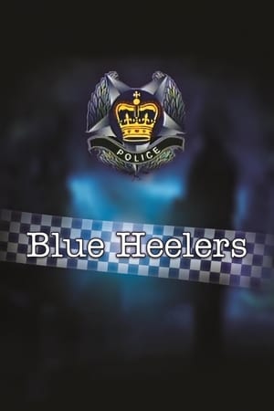 Blue Heelers poszter