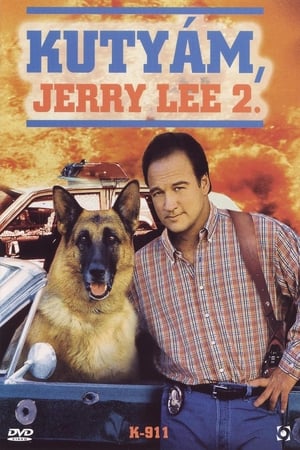 Kutyám, Jerry Lee 2.