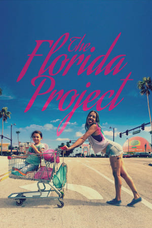 Floridai álom poszter
