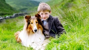 Lassie háttérkép