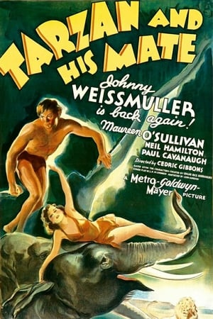Tarzan és asszonya poszter