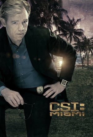 CSI: Miami helyszínelők poszter