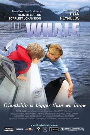 The Whale poszter