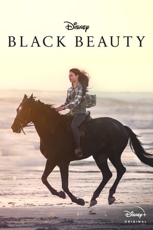 A fekete szépség poszter