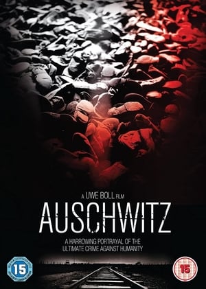 Auschwitz poszter