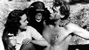 Tarzan, a majomember háttérkép