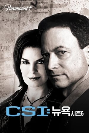 CSI: New York-i helyszínelők poszter