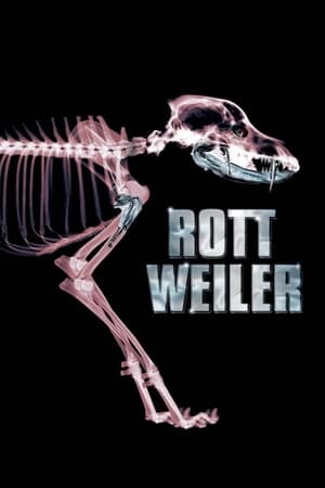 Rottweiler - A halálkutya poszter