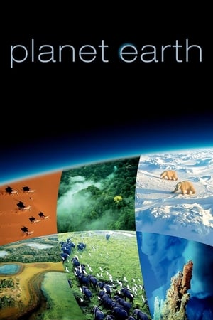 Bolygónk, a Föld